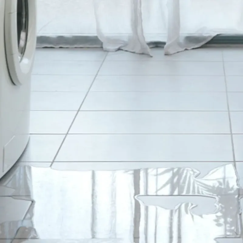 Appliance Leak Cleanup in El Dorado Hills, CA