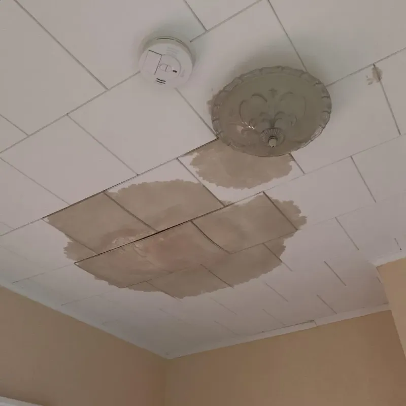 Ceiling Water Damage Repair in El Dorado Hills, CA