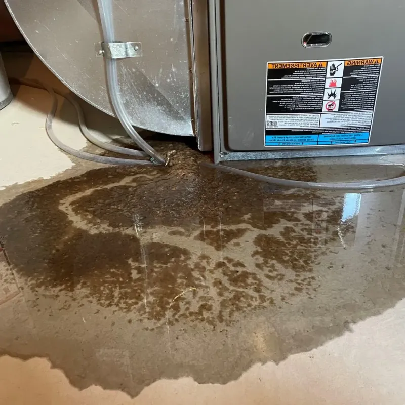 Pipe Burst and Leak Restoration in El Dorado Hills, CA